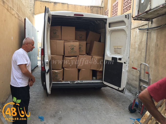 torold yaffa (8).jpg